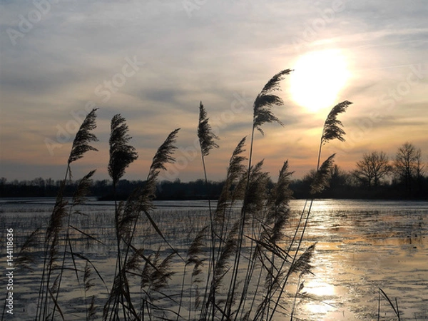 Fototapeta la Dombes