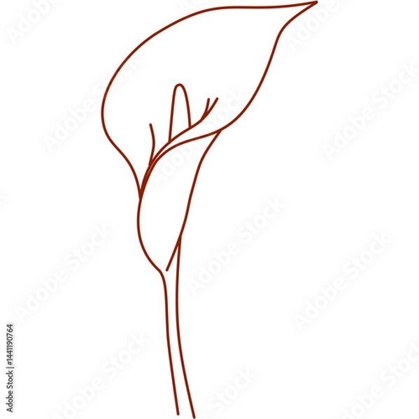 Fototapeta alcatraz, outline, hand drawn, illustration, isolated, line, minimal, nature, plant, garden, pretty flower, silhouette, simple, single alcatraz, sketch, summer, graphic, flower, alcatraz flower, color
