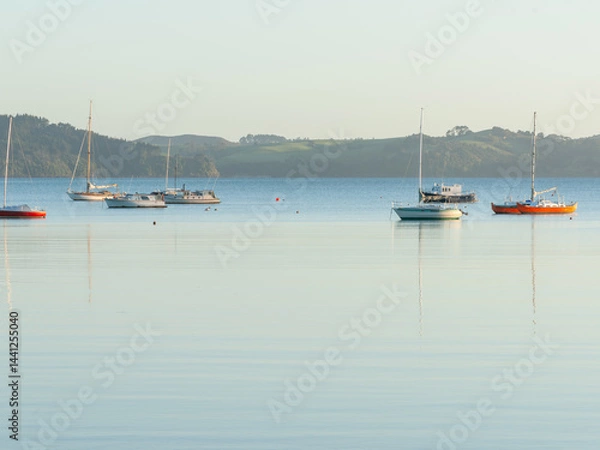 Fototapeta Algies Bay in Northland beautiful view across bay in morning light