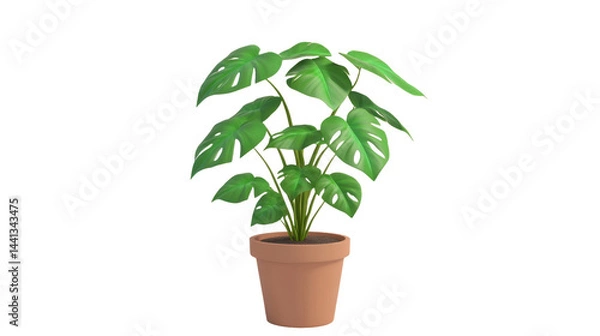 Fototapeta The image shows a realistic illustration of a leafy houseplant in a clay pot, set against a white background.