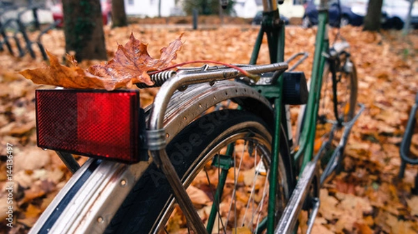 Obraz Bike Back Light