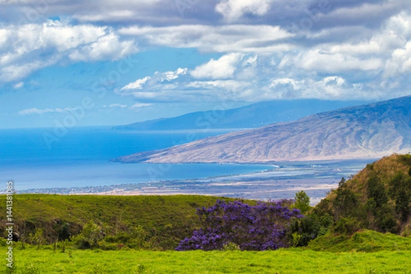 Fototapeta View of Maui coast from Kula which includes a blooming jacaranda.