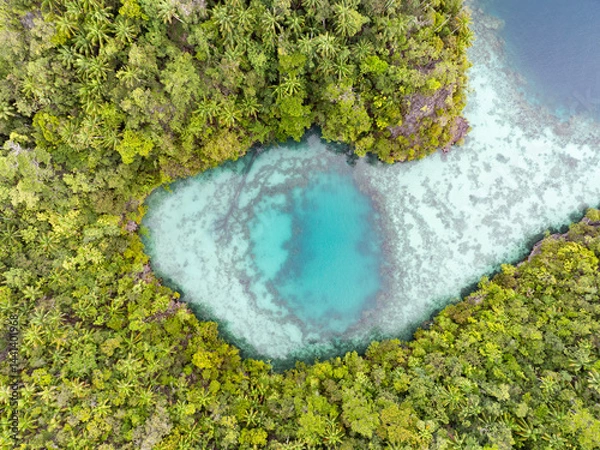 Obraz A small lagoon is found  in Misool, Raja Ampat, Indonesia. This area is known as the heart of marine biodiversity and is a popular destination for diving and snorkeling.