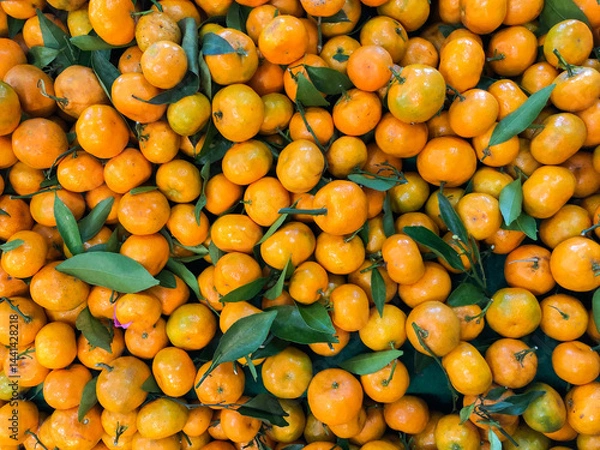 Obraz Top view of orange fruits with leaves