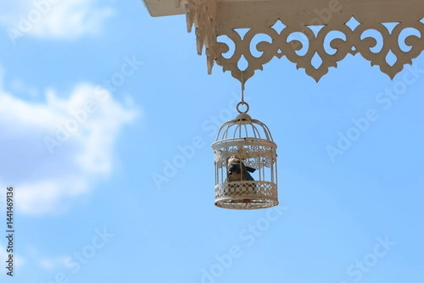Fototapeta Artificial bird in the white wooden cage installed at the edge of building. Classic design interior at the backyard. 