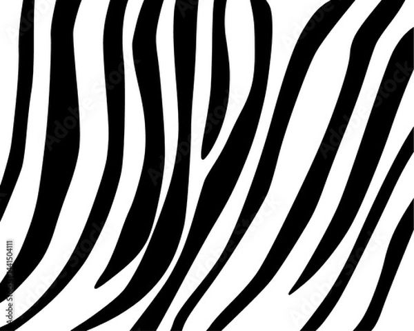 Fototapeta Zebra skin pattern hand drawn 