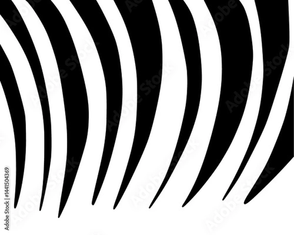 Fototapeta zebra skin pattern hand drawn 
