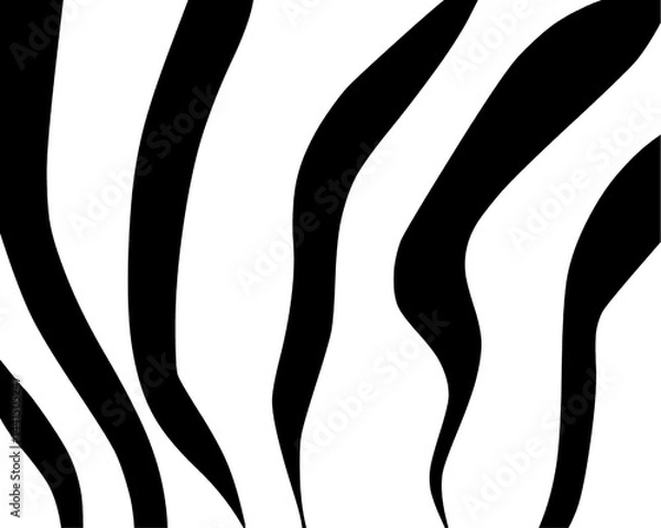 Fototapeta zebra skin pattern hand drawn 