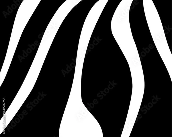 Fototapeta zebra skin pattern hand drawn