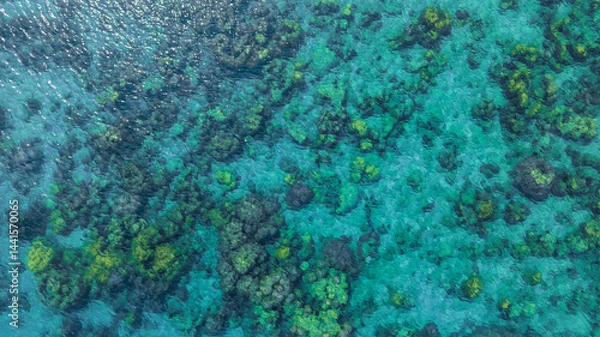 Obraz Top view. Summer sea water, blue surface. The water is clear with ripples and sparkles in the sunlight and you can see coral under the sea.