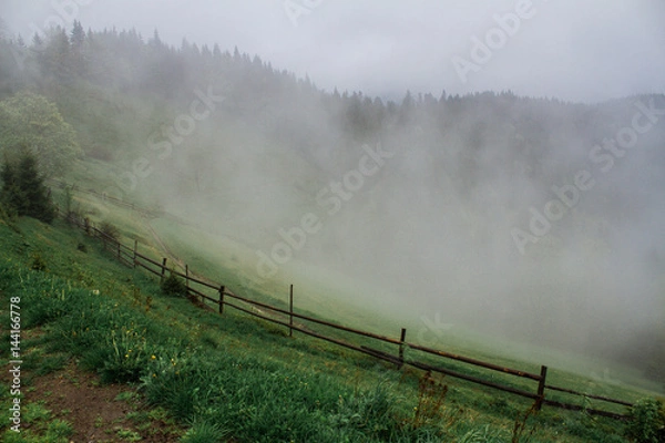 Fototapeta Morning dew fog sun rays in mountains