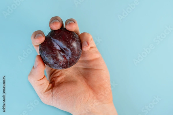 Obraz A man's hand holds a plum on the blue table background. Close up, point of view shot.