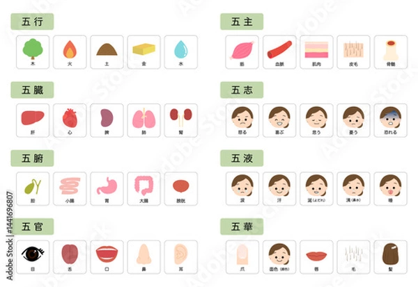 Obraz 東洋医学　人体の五行分類