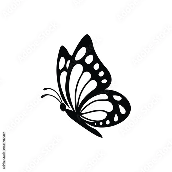 Obraz minimalist butterfly side profile vector illustration