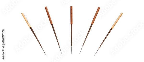 Obraz Pack of Acupuncture Needles Against Transparent Background for Health Branding, Therapy Promotion, or Wellness Design Projects