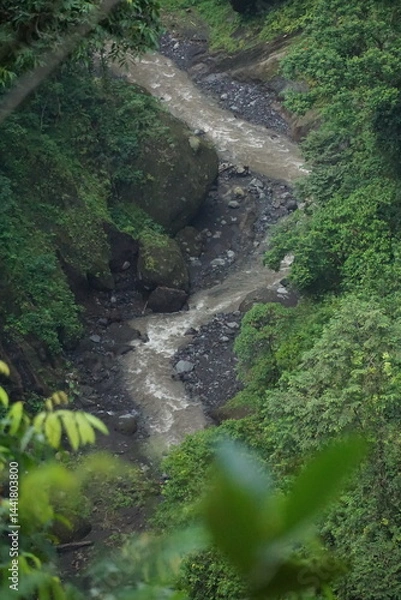 Fototapeta Rushing river flowing through lush green forest nature photography tranquil landscape aerial view natural beauty