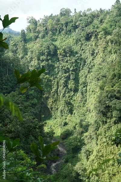 Fototapeta Exploring lush green valleys tropical rainforest landscape photography natural environment aerial view serenity and biodiversity
