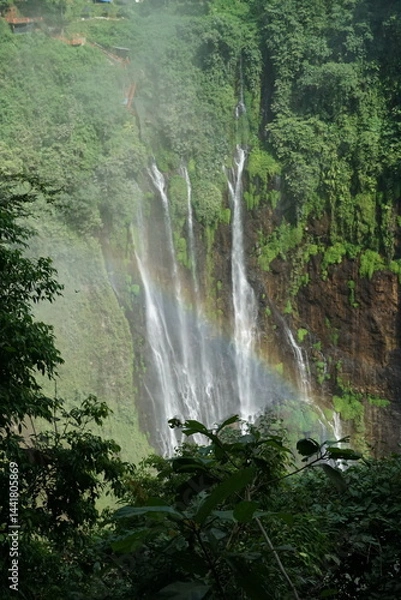 Fototapeta Majestic waterfall cascades tropical forest nature photography lush environment aerial view serenity and beauty