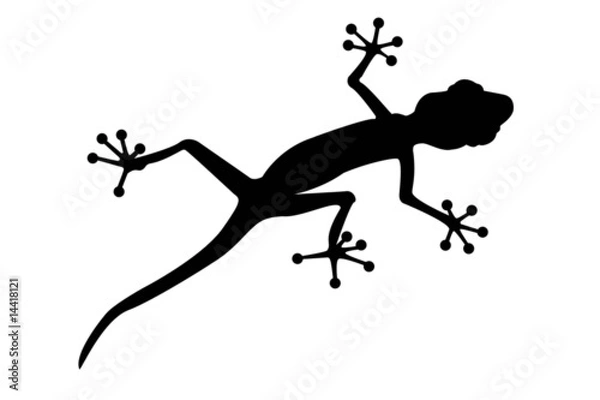 Obraz black silhouette of gecko