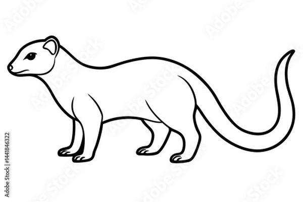 Fototapeta Elegant Mongoose Vector Sketch