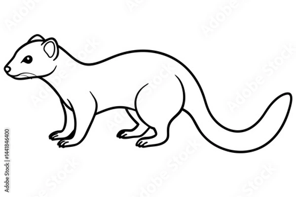 Obraz Elegant Mongoose Vector Sketch