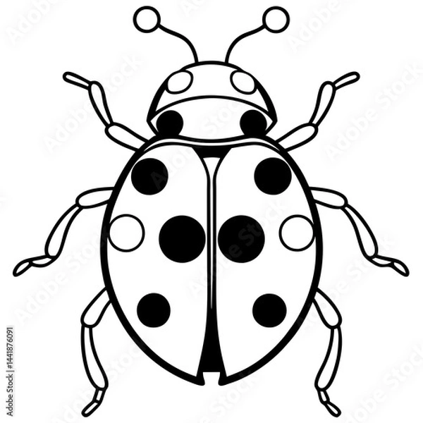 Fototapeta Simple Ladybug Line Drawing Vector