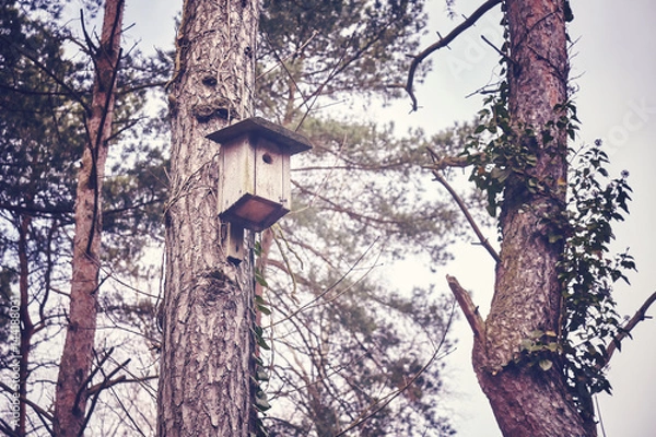 Fototapeta Wooden birdhouse on a tree in forest, shelter for birds, color toning applied, selective focus.