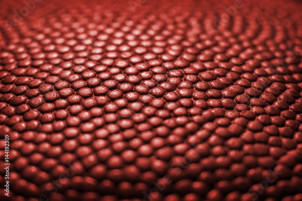 Obraz Classic basketball ball detail leather surface texture background