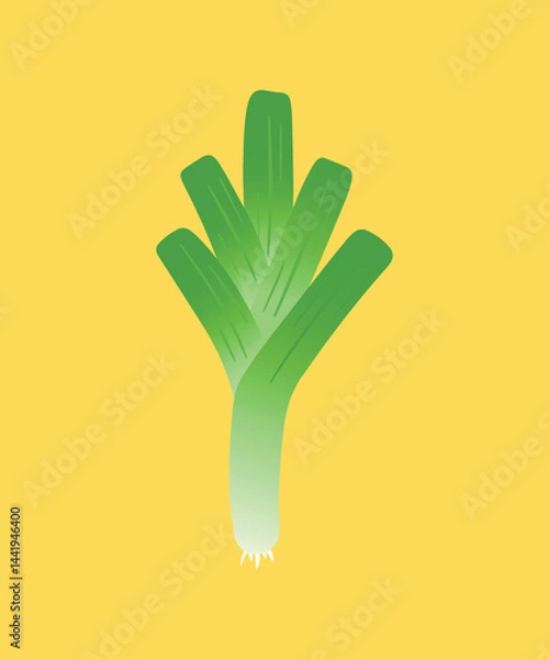 Obraz Fresh Leek Vegetable Vector Icon Illustration Food Nature Graphic Design