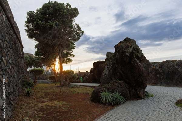 Fototapeta DMN_8987.CR3