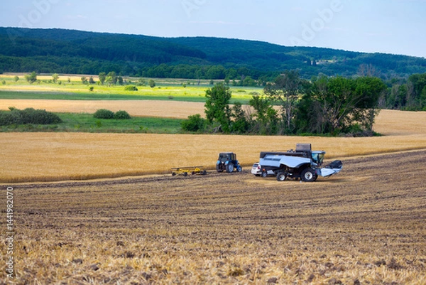 Obraz A modern blue combine harvester stands on a field where the spring grain crop has just been harvested. Farmers perform small repairs and maintenance. Midsummer in central Ukraine.