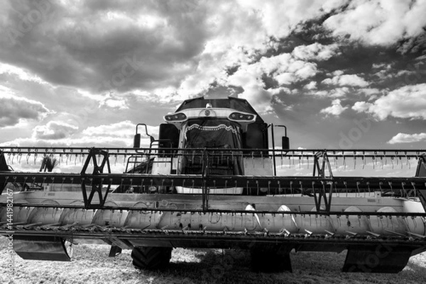 Obraz A modern combine harvester stands on the field during harvesting. Bottom view with a wide-angle lens on the hinged frame cutterbar draper combine header. Black and white photo.