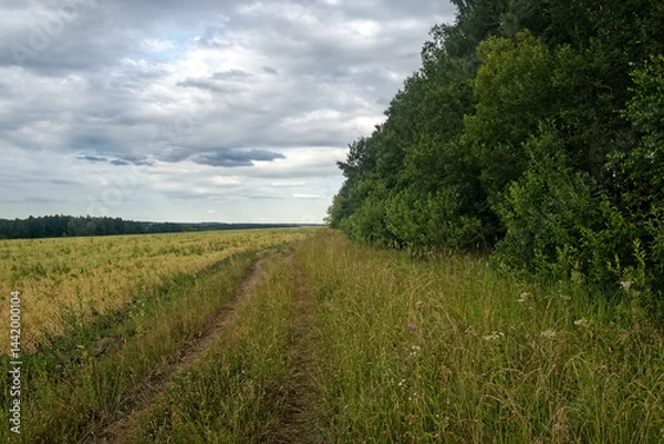 Obraz Dirt road in the countryside on a cloudy day