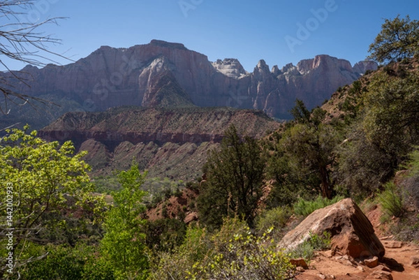 Obraz View of rocks in Zion National Park. Colorful rocks. Utah, USA.