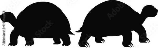 Fototapeta Black silhouettes of two turtles in side view with simplified shapes and clean lines on white background – minimalist reptile vector art, symmetrical wildlife illustration 4K