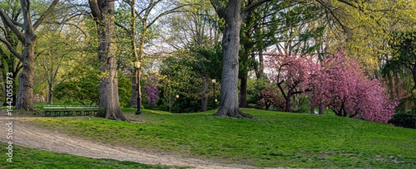Fototapeta Central Park in spring