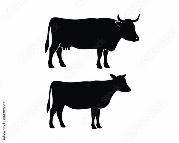 Fototapeta Australian Cow icon vector silhouette illustration isolated on white background