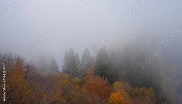 Fototapeta Enchanting hiking trail through idyllic foggy autumn forest in dreamy Plitvice lakes National Park. Spooky fantasy atmospheric mood in autumn woodland