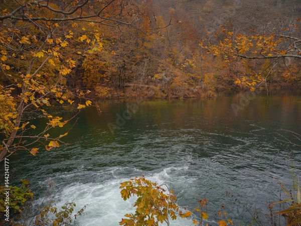 Fototapeta Plitvice Lakes in Croatia during autumn, showcasing stunning waterfalls, vibrant foliage, and crystal-clear waters, creating a magical and serene natural landscape perfect for nature lovers.