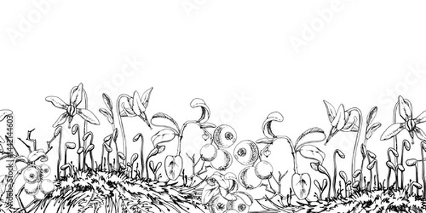 Fototapeta Cranberry lingonberry, pink flowers on moss, vector hand drawn in ink. Swamp forest berry on stems, teaberry bearberry wintergreen. Isolated seamless banner border. Restaurant menu, farmers market