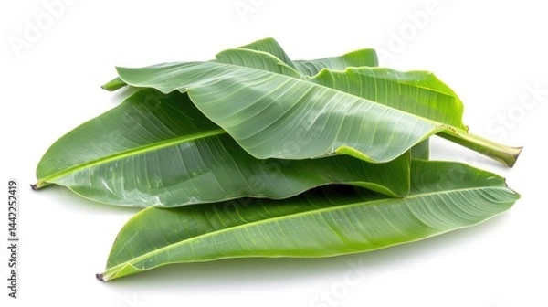 Obraz Fresh green banana leaves isolated on white background