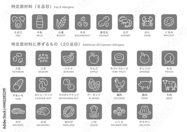 Obraz 食品アレルゲン表示アイコンセット_グレースケール＋白線（日本語＋英語）