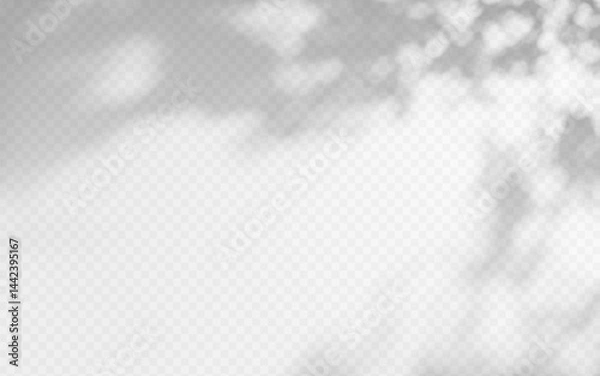 Fototapeta Abstract shadow overlay from foliage on a transparent background.