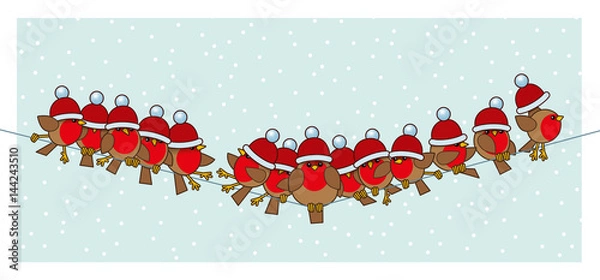 Fototapeta Robins wearing Red Santa Woolly Bobble Hats on Telephone Wire