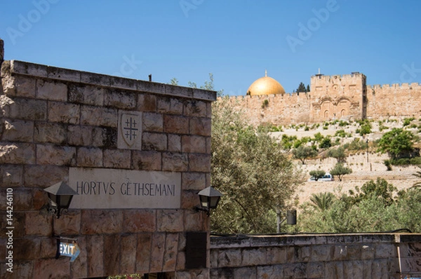 Fototapeta Close up of the entrance of Gethesemane and in the background a view on the golden gate and the golden dome in Jerusalem Israel
