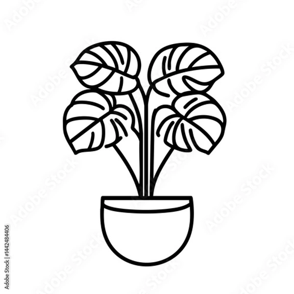Fototapeta Line drawing of a potted plant with large, wide leaves featuring distinct vein details