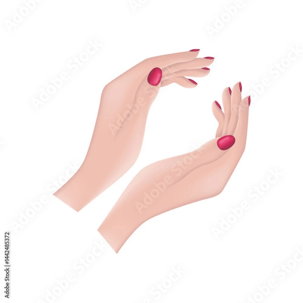 Obraz Female hands. An image of beautiful female hands. The hands of a woman with painted nails. The girl s hands. Vector illustration