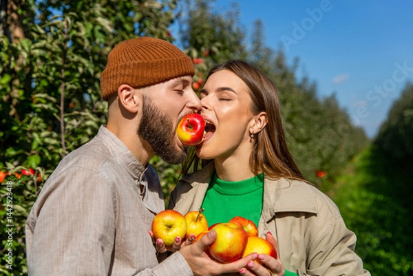 Fototapeta The man and woman bit an apple. Happy smiling couple relaxing on the grass and eating apples in autumn garden. Outdoor, park, apples hand. Harvest concept. Couple eating apple together in the park