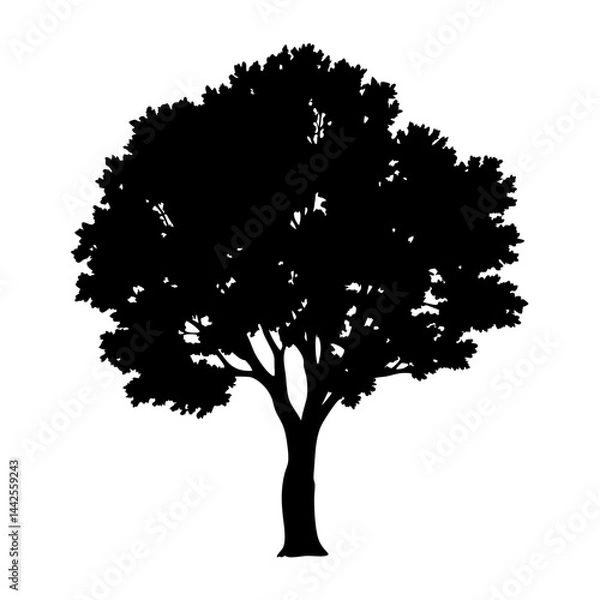 Fototapeta Download realistic tree silhouette vector illustration for graphic design and nature art projects
