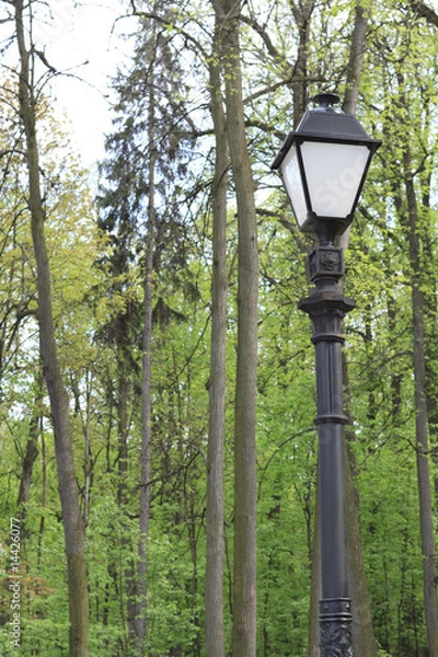Fototapeta Lantern in the park